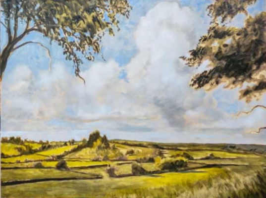 Paint Dramatic Dartmoor, Rivers & Moorland Villages