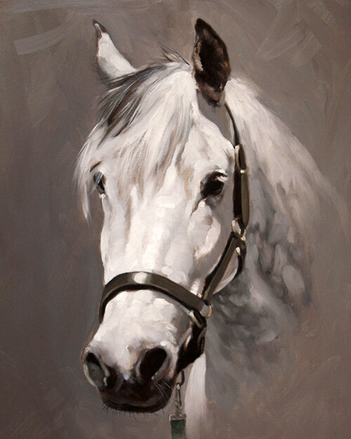 Paint Horses, Dogs and other Animal Portraits in Oils